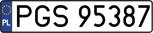 PGS95387