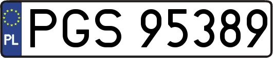 PGS95389