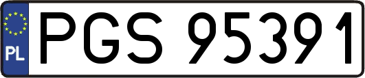 PGS95391