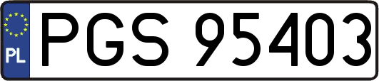PGS95403