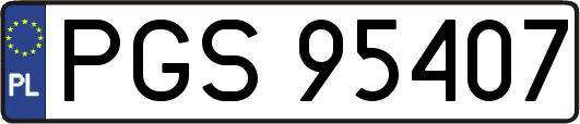 PGS95407