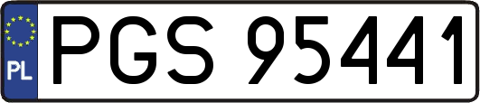 PGS95441