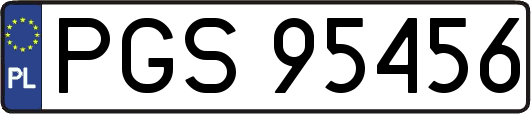 PGS95456