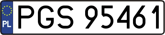 PGS95461