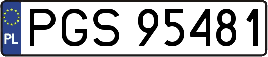 PGS95481