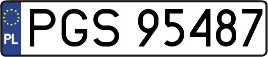 PGS95487