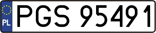 PGS95491