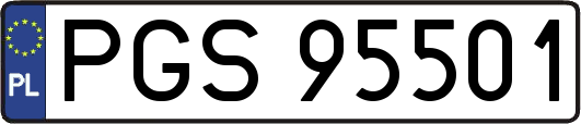 PGS95501