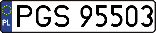 PGS95503