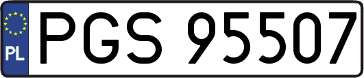 PGS95507
