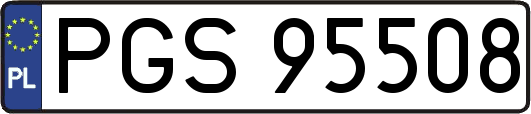 PGS95508