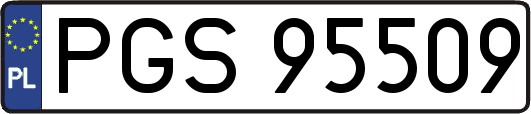 PGS95509