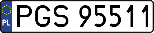 PGS95511