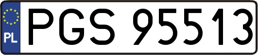 PGS95513