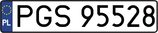 PGS95528
