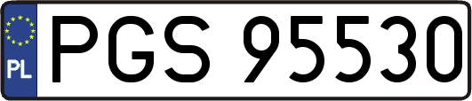 PGS95530