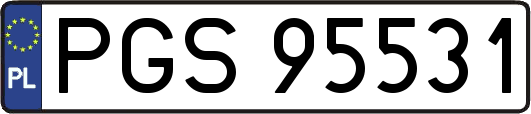PGS95531