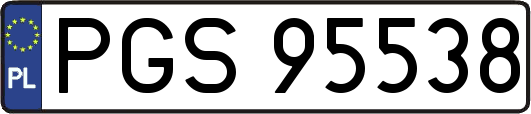 PGS95538