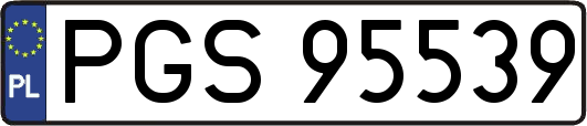PGS95539