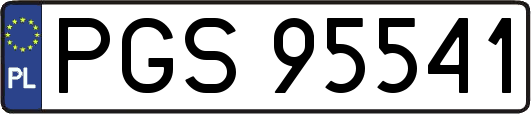 PGS95541