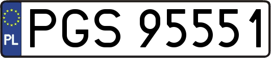 PGS95551