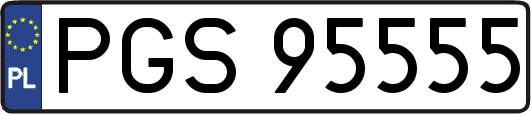 PGS95555