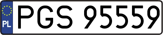 PGS95559