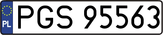 PGS95563