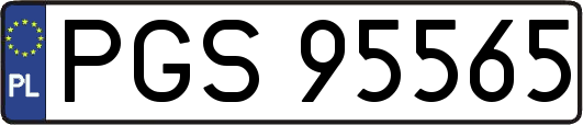 PGS95565