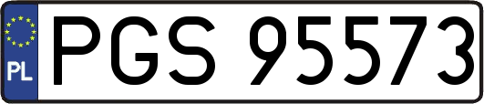 PGS95573