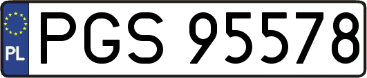 PGS95578