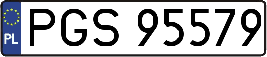 PGS95579