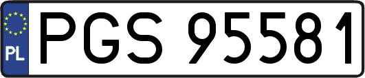 PGS95581