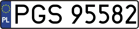 PGS95582
