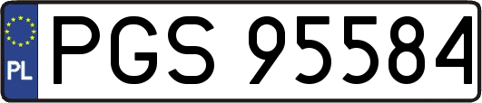 PGS95584