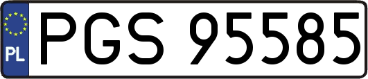 PGS95585