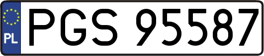 PGS95587