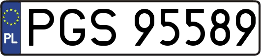 PGS95589