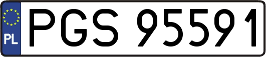 PGS95591