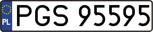 PGS95595