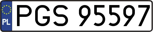 PGS95597