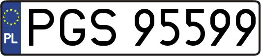 PGS95599