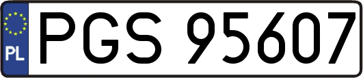 PGS95607