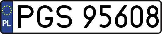 PGS95608
