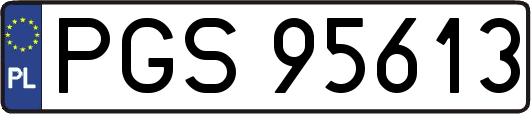 PGS95613