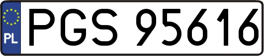 PGS95616