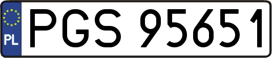 PGS95651