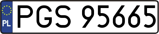 PGS95665