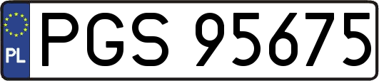 PGS95675