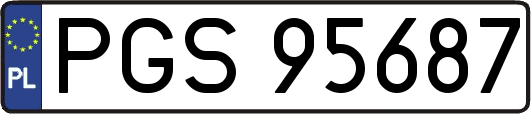 PGS95687